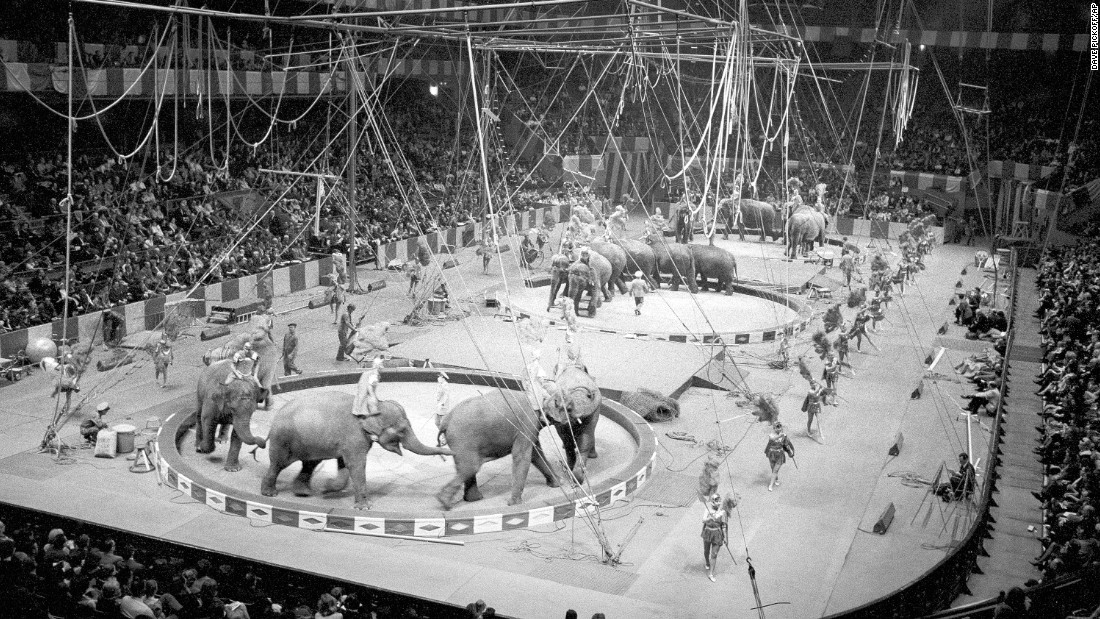 Elephants inside the Ringling big top